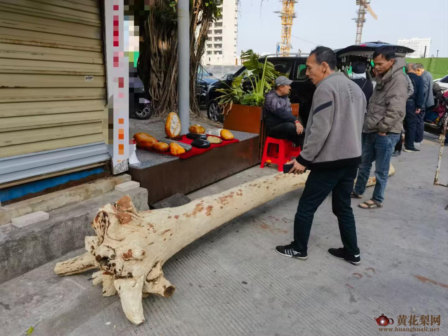 市场上常见的海南黄花梨原木新料